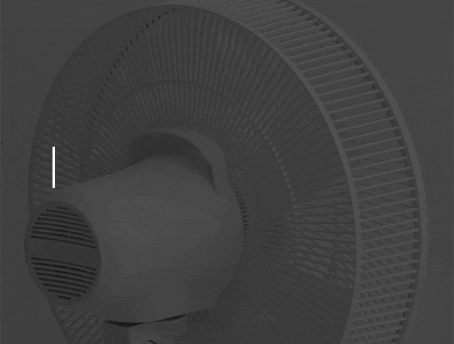 top_01.gif